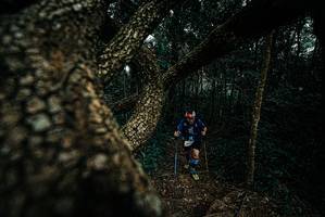 BIB: 
                            <button type="button" onclick="openModal(25704082)" class="btn btn-primary btn-sm float-right btn-popup" data-toggle="modal" data-target=".modal-high-quality">
                        <i class="fas fa-shopping-cart"></i> Add to Cart
                    </button>
                                            <button type="button" onclick="isThisMe(25704082, true)" class="btn btn-success btn-sm float-right btn-popup btn-isme hidden" data-toggle="tooltip" data-placement="bottom" title="นี่คือรูปของคุณใช่ไหม คลิกที่นี่เพื่อเอาเข้าอัลบั้ม">
                        <i class="fas fa-plus"></i> Add to album
                    </button>
                    <button type="button" onclick="isThisMe(25704082, false)" class="btn btn-warning btn-sm float-right btn-popup btn-isnotme hidden">
                        <i class="fas fa-ban"></i> Remove from album
                    </button>